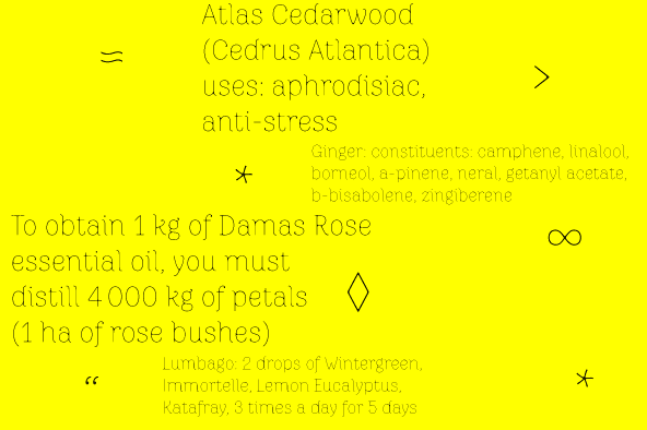Zitrone FY font family sample image.