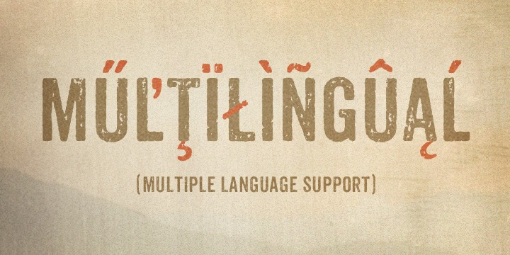 Highlighting the Anodyne font family.