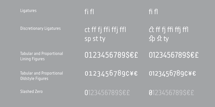 Displaying the beauty and characteristics of the Centima font family.