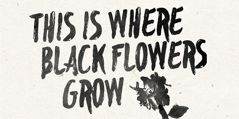Displaying the beauty and characteristics of the Blackflower font family.