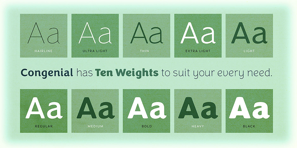 Emphasizing the favorited Congenial font family.