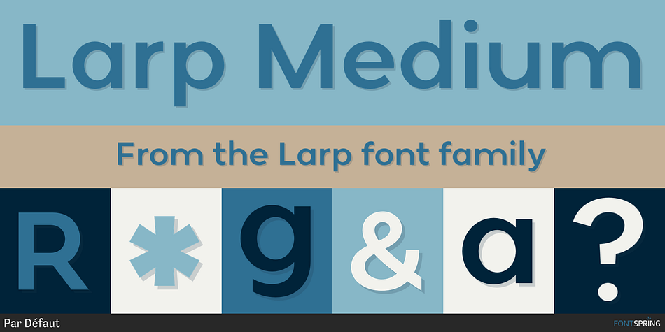 Larp Medium Font
