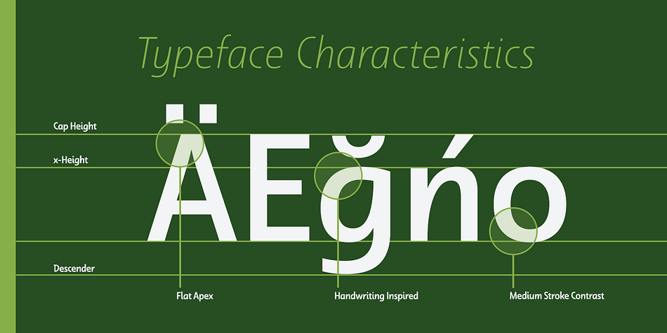 Dulcian is a thirty-six font, sans serif family by Insigne Design.
