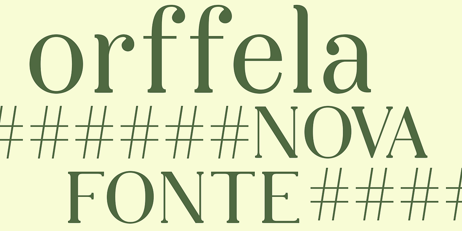 Displaying the beauty and characteristics of the Orffela font family.