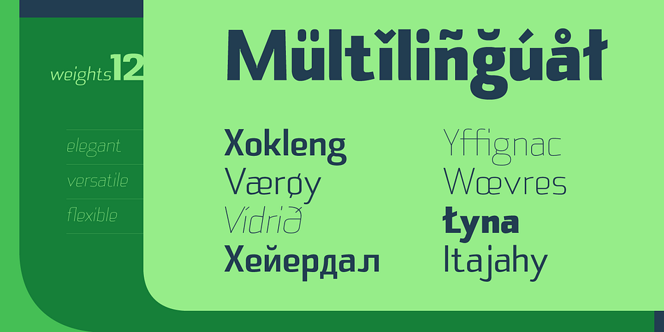 Emphasizing the popular Cambirela font family.