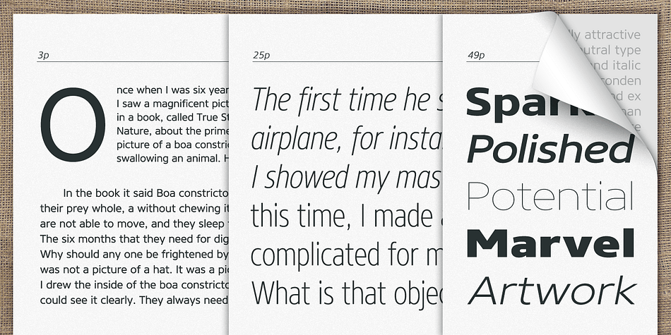The Core Sans N Family consists of 3 widths (Condensed, Normal, Extended), 9 weights (Thin, ExtraLight, Light, Regular, Medium, Bold, ExtraBold, Heavy, Black), and Italics for each format.