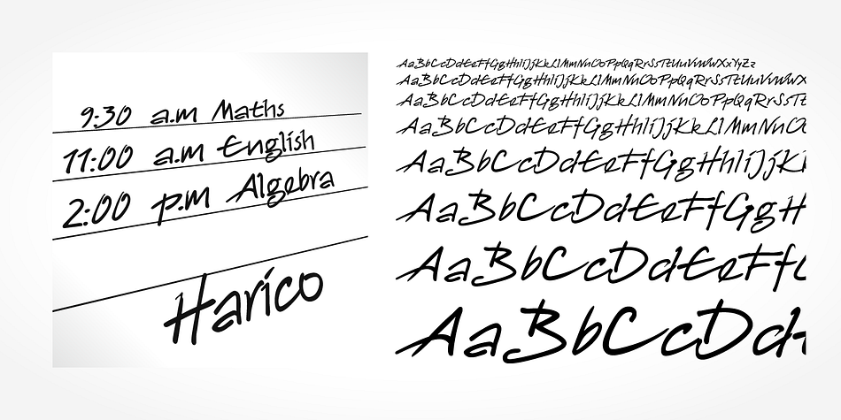 Harico Handwriting Pro is a beautiful typeface that mimics true handwriting closely.