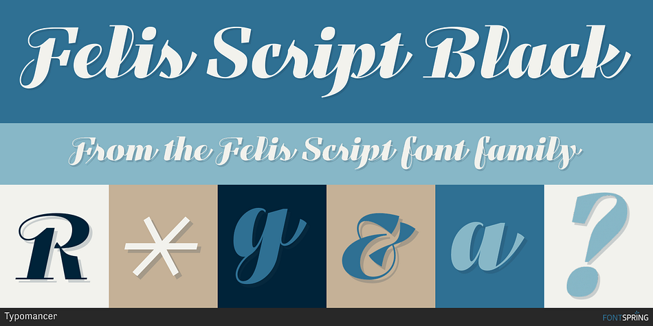 Felis Script Black Font