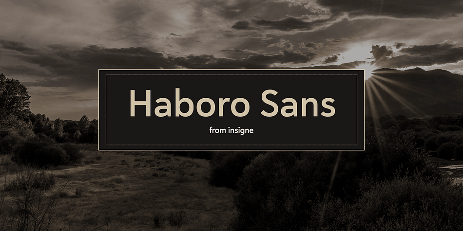Quit trudging through the thick with encumbering fonts, and spring to the front of the pack with the cutting edge sans serif, Haboro Sans.