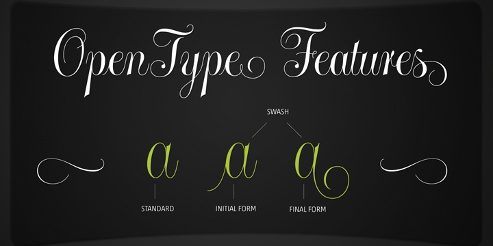 Highlighting the Maestra font family.