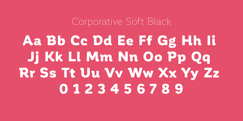 The family consists of 64 fonts: a basic family that includes 8 weights plus italics, an alternative family of 8 weights with matching italics and 2 condensed families, one regular and one alternative, both with italics.