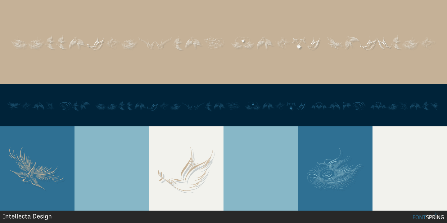 Calligraphic Birds Regular Font