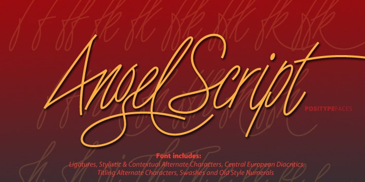 Angel Script is a light, contemporary monoline script.