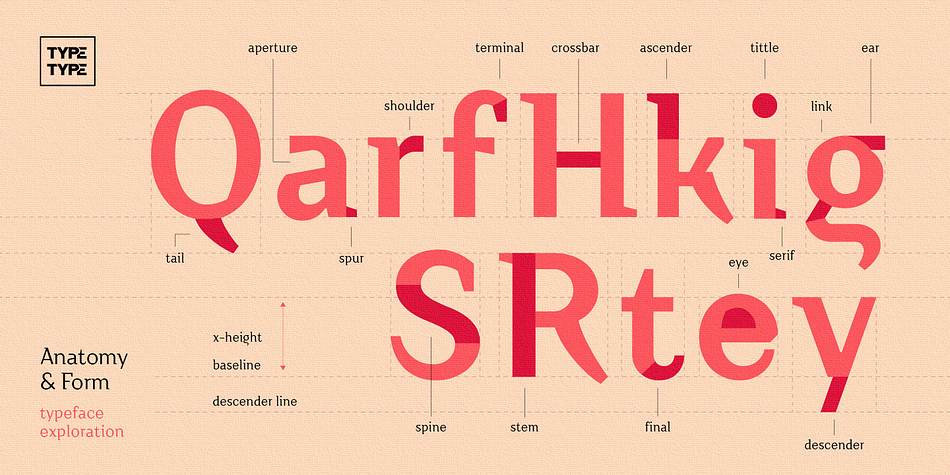 Emphasizing the popular TT Crimsons font family.