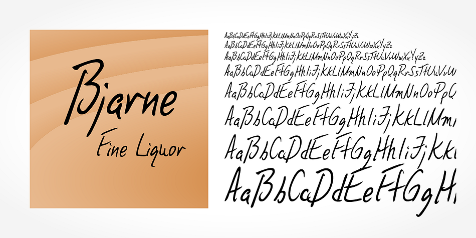 Bjarne Handwriting is a beautiful typeface that mimics true handwriting closely.