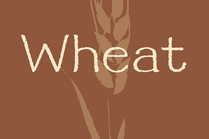 Wheat font family sample image.