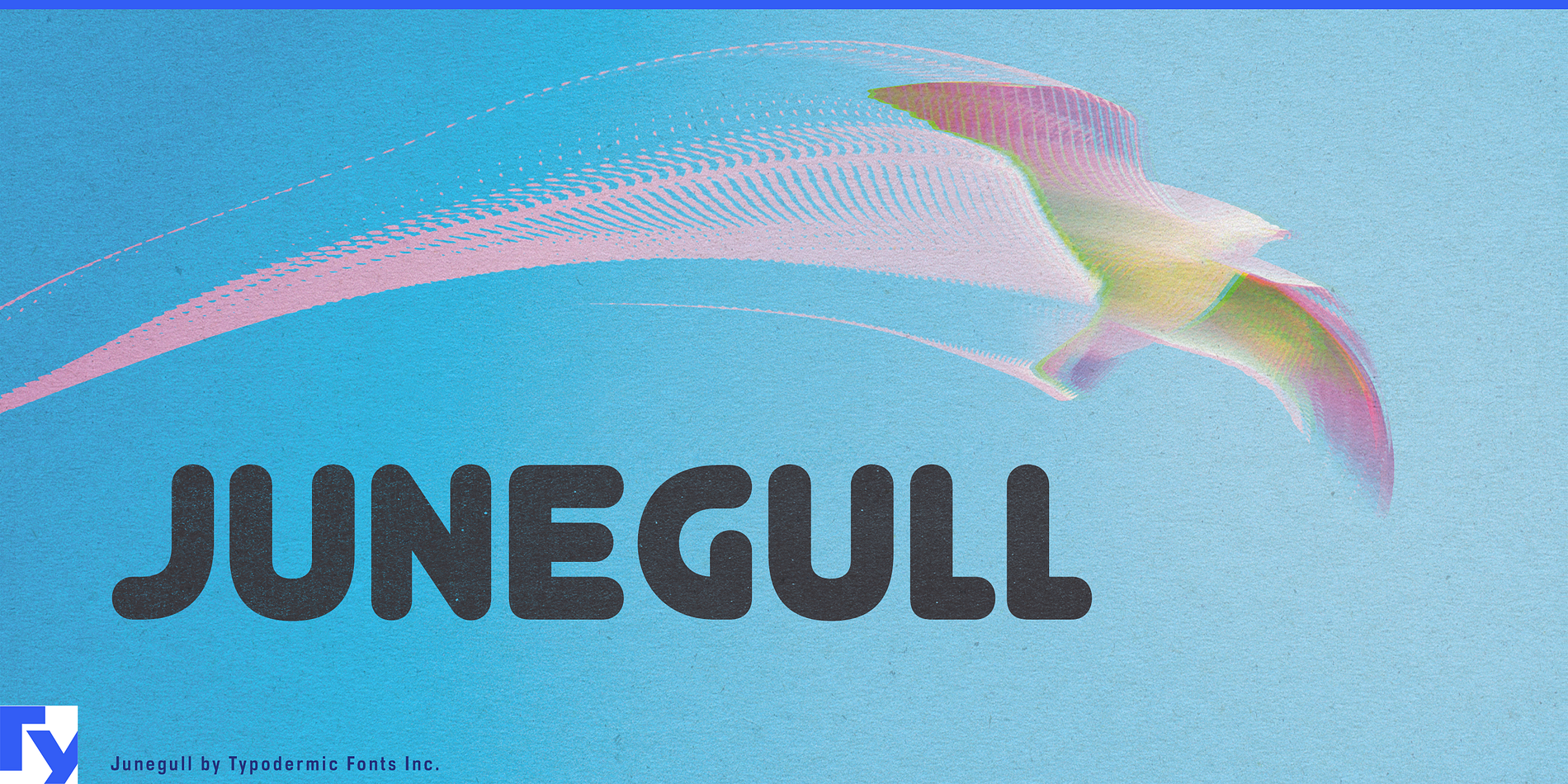 Junegull
