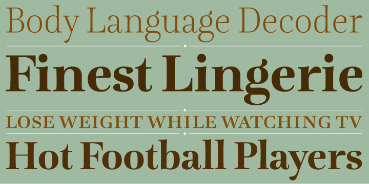 Emphasizing the favorited Lavigne font family.