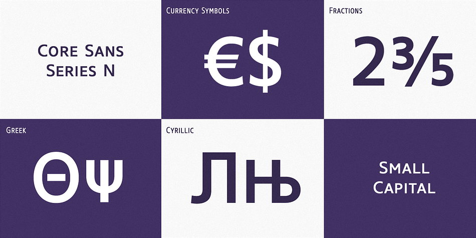 It also supports WGL4, which provides a wide range of character sets (CE, Greek, Cyrillic and Eastern European characters).