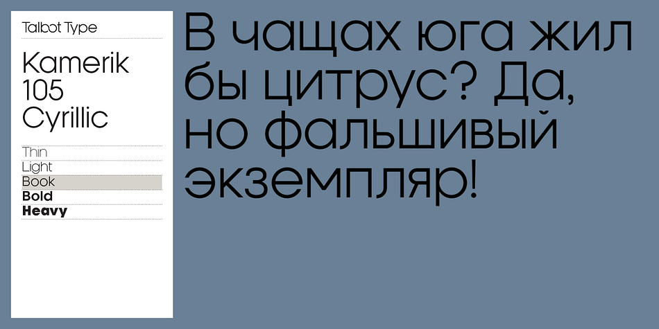 Emphasizing the favorited Kamerik 105 Cyrillic font family.