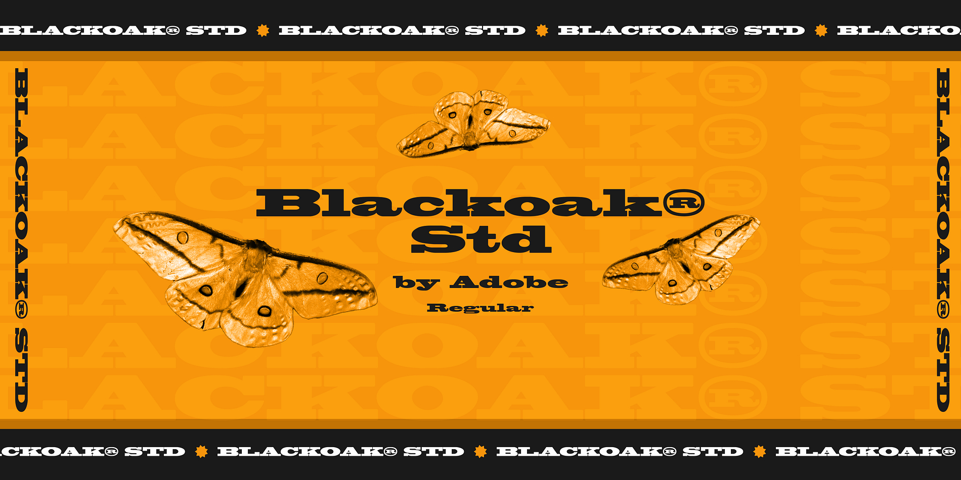 Blackoak® Std
