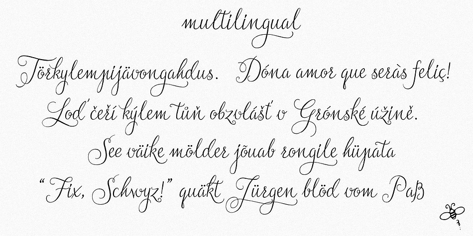 Displaying the beauty and characteristics of the Jasminum font family.