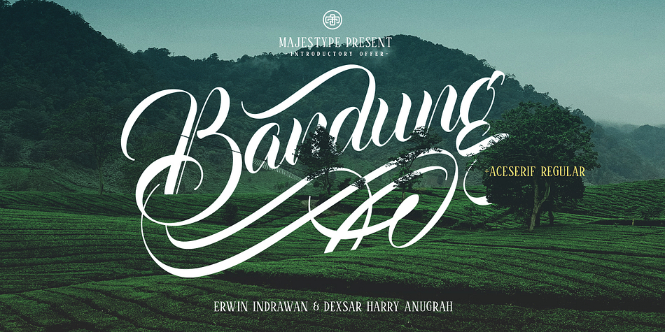 Bandung from Majestype was made to capture the natural movement of a brush script infused with the elegance of a copperplate hand.