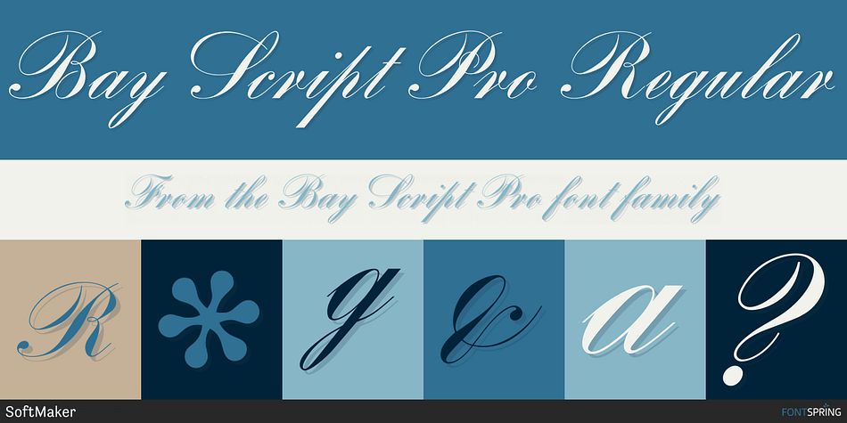 Bay Script Pro Regular Font
