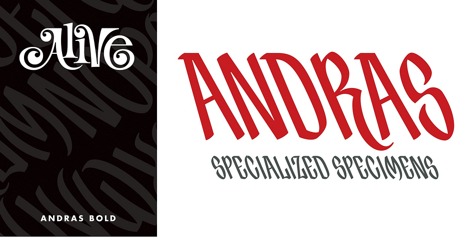 Displaying the beauty and characteristics of the Andras font family.