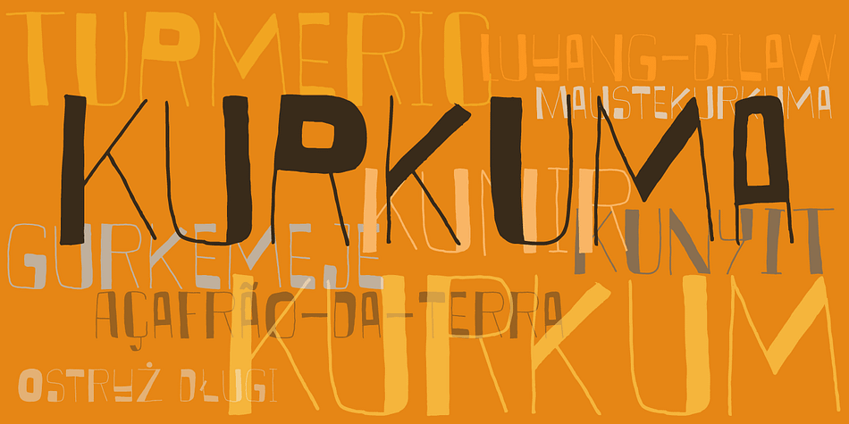 Kurkuma (Turmeric in Dutch) is a spice I use in all of my curries.