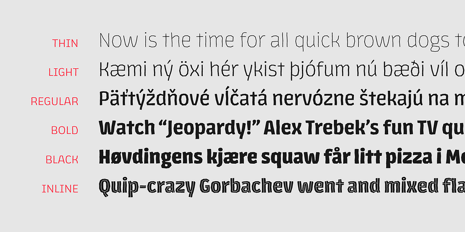Los Lana Niu comprises 3 subfamilies: Los Lana Niu Essential (392 glyphs) - including both regular and alt versions, Los Lana Niu Small Caps (392 glyphs) and Los Lana Niu (820 glyphs), which includes a variety of OpenType features such as stylistic ligatures, contextual alternates and small caps.