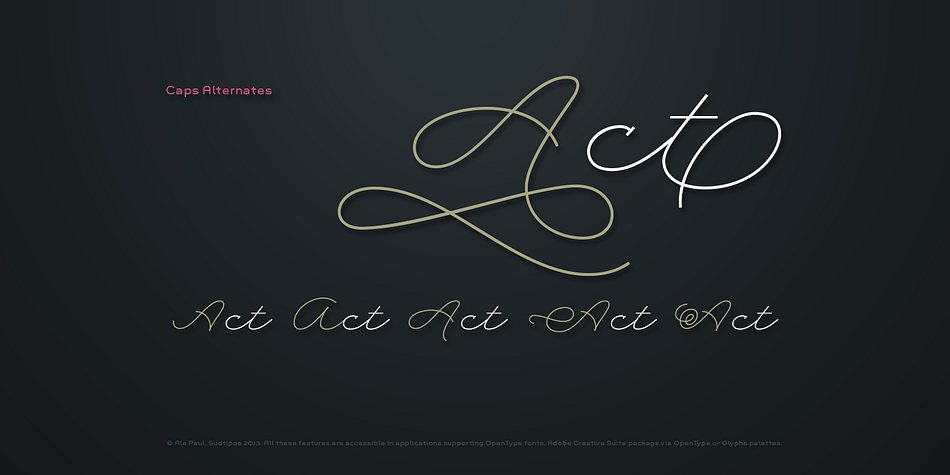 Rolling Pen includes OpenType Standard Ligatures and has good Latin language support.