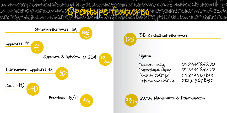 Emphasizing the popular TyfoonScript font family.