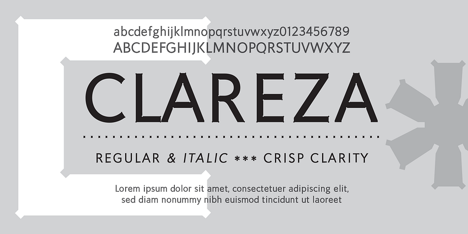 If you are looking for a font that is crisp with a little more personality, Clareza will absolutely fit the bill!