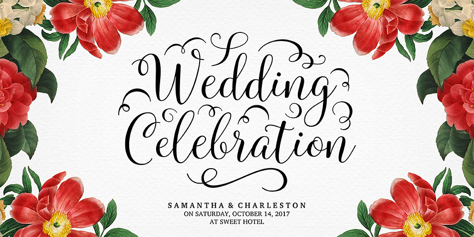 Displaying the beauty and characteristics of the Molly Script font family.