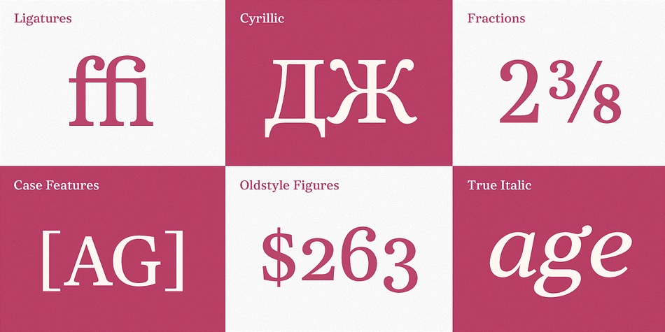 Core Serif N Thin is designed such as a frame of Core Serif N Family, so its serif shapes are slightly different with other weights