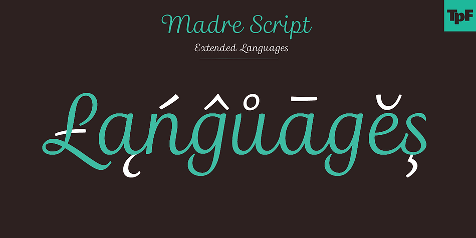 Madre Script font family example.