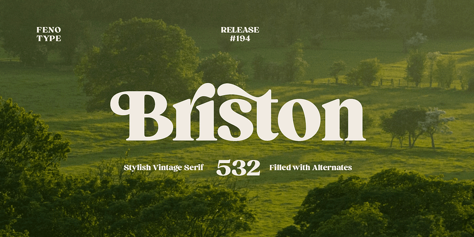 Briston is a bold vintage style serif font with strong character and soft features.