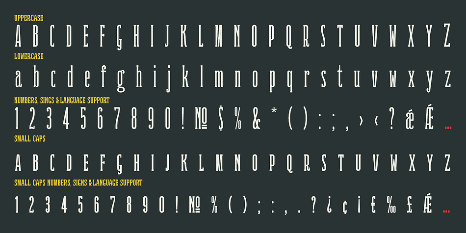 With over 1800 glyphs per style you can take full advantage of stylistic alternates (titling alternates in Adobe InDesign), contextual alternates, discretionary ligatures, ligatures, numerators, denominators and much more to create your own designs.
