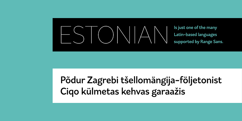 Range Sans has a contemporary, somewhat geometric look that lends itself to uses such as corporate identities, minimalist graphic design, and logos.