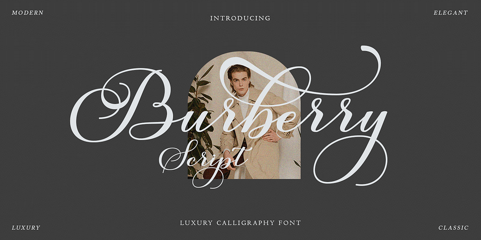 Burberry new font on sale download