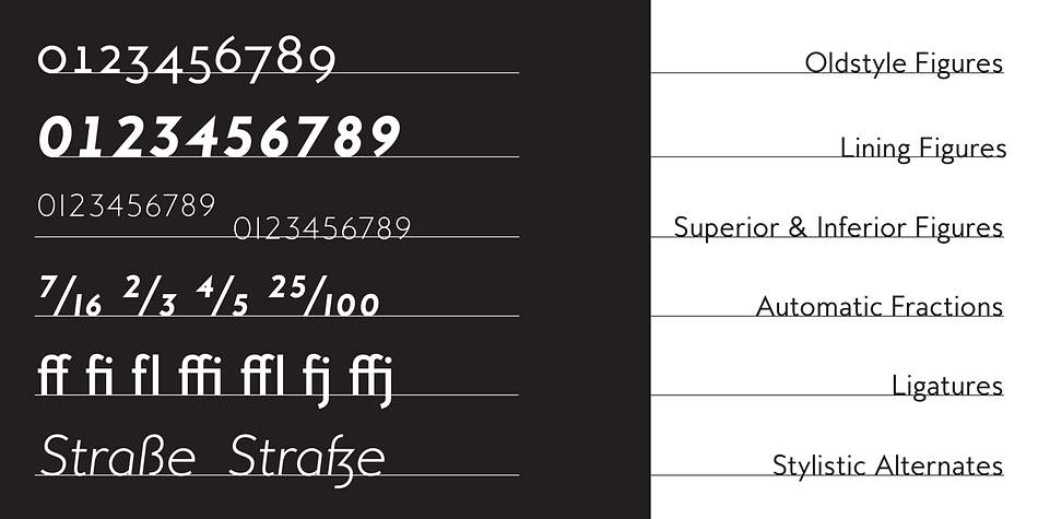 It comes in six weights with italics and has extended language support.