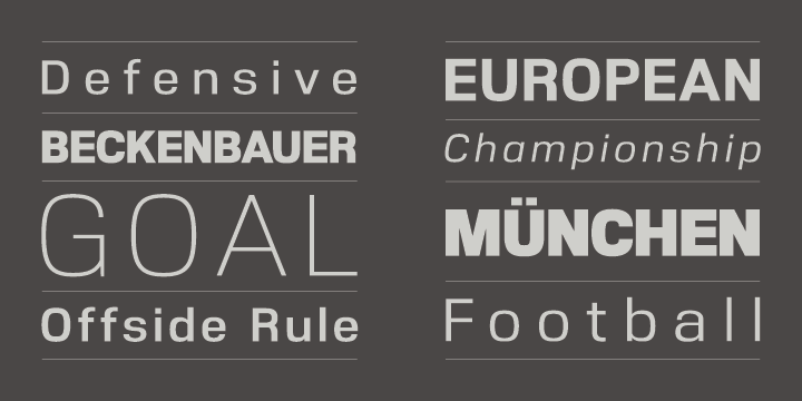 Details include 540 characters with alternative uppercase R, alternative lowercase a, e and g, 5 variations of numerals, manually edited kerning and opentype features.