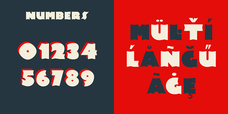 Highlighting the Newland font family.