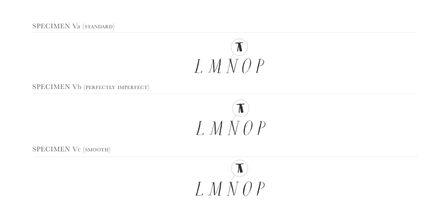 Rare Bird Specimen V Font