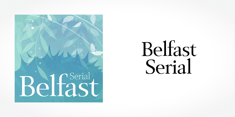 Displaying the beauty and characteristics of the Belfast Serial font family.