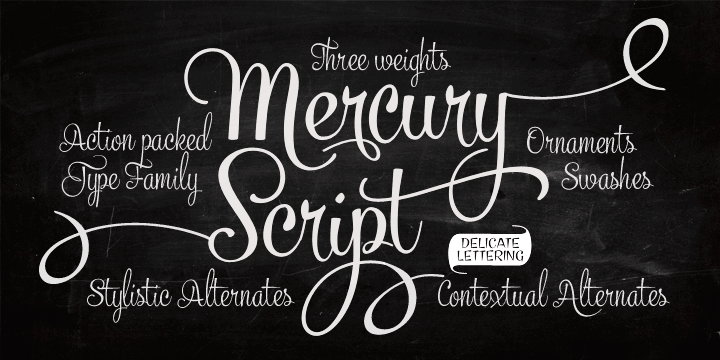 Mercury Script is an action packed type family of three weigths.