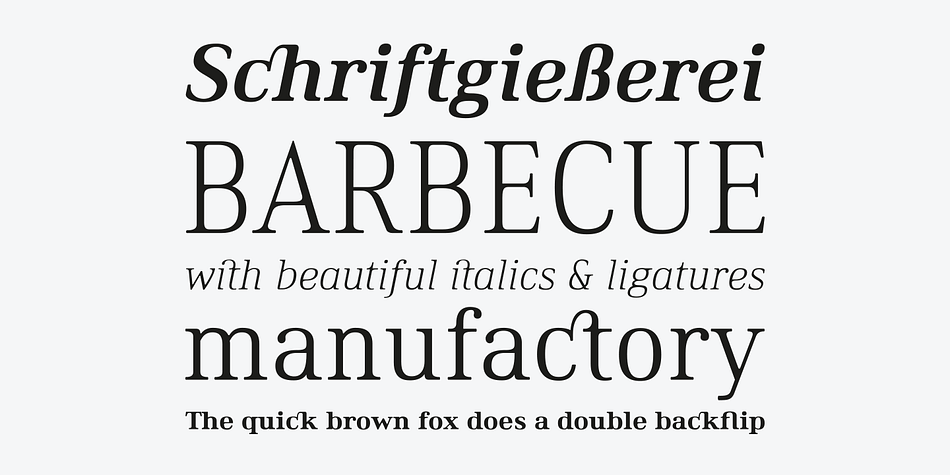 It comes in 36 fontstyles with true italics and a huge bunch of opentype features like small caps, ligatures, nominators and denominators, fractions and many more.