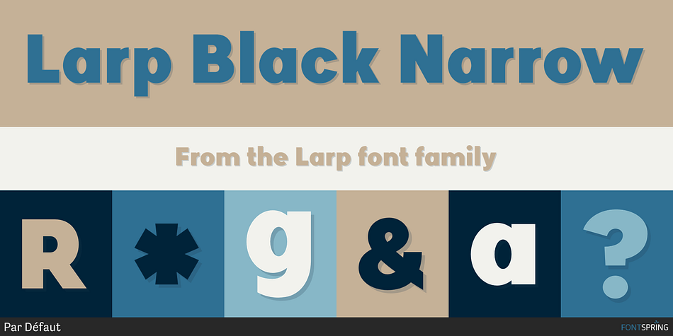 Larp Black Narrow Font