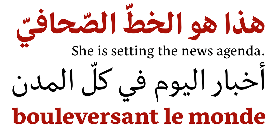 Its core concept is a design that accomplishes superlative multilingual text-setting – the main concern being the creation of an authentic design in which neither Arabic nor Latin have to follow proportions or characteristics of the other script in achieving balance and harmony.